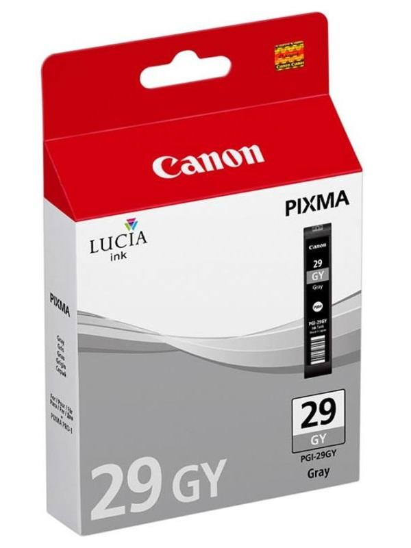 Inkoust Canon PGI-29GY gray