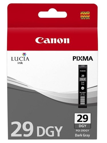 Inkoust Canon PGI-29DGY dark gray