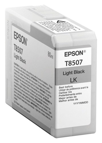 Inkoust Epson C13T850700 light black